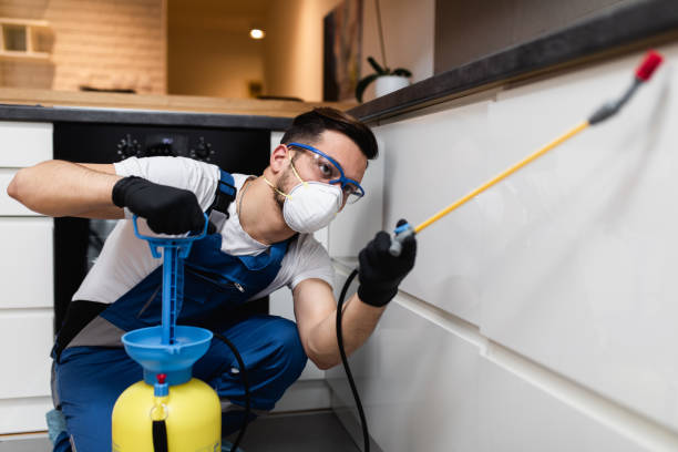 Best Pest Prevention Services  in Rosemount, MN