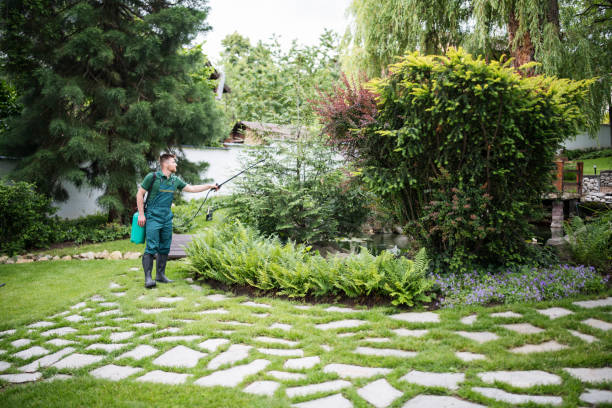 Best Affordable Pest Control Services  in Rosemount, MN