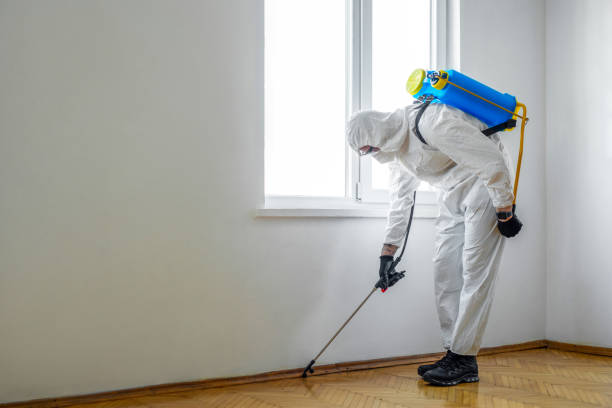 Best Rat Extermination Near Me  in Rosemount, MN