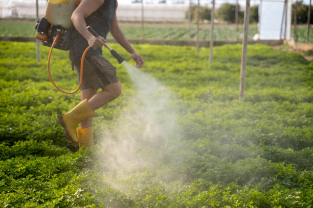 Best Best Pest Control Companies  in Rosemount, MN