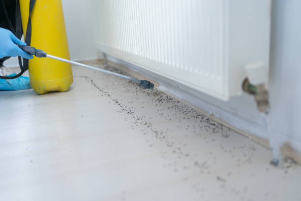 Reliable Rosemount, MN Pest Control Solutions