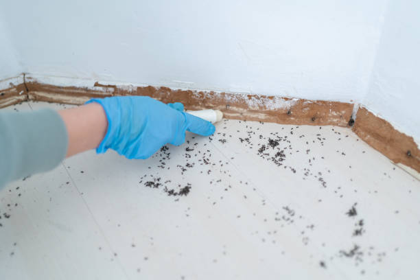 Best Emergency Pest Control  in Rosemount, MN