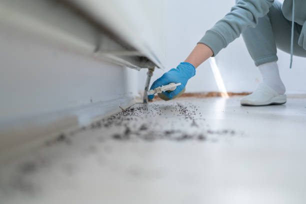 Best Pest Removal Services  in Rosemount, MN